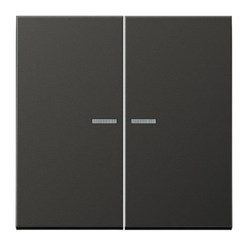 Клавиша двойная с линзами JUNG LS METAL, антрацит