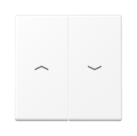 A500 Клавиша 2-ная со стрелками вверх/вниз, цвет Матовый белый
