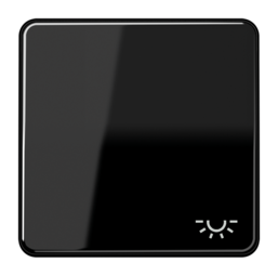 Клавиша JUNG CD 500, черный